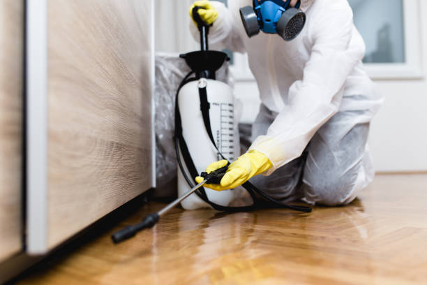 Best Best Pest Control Near Me  in Egan, LA