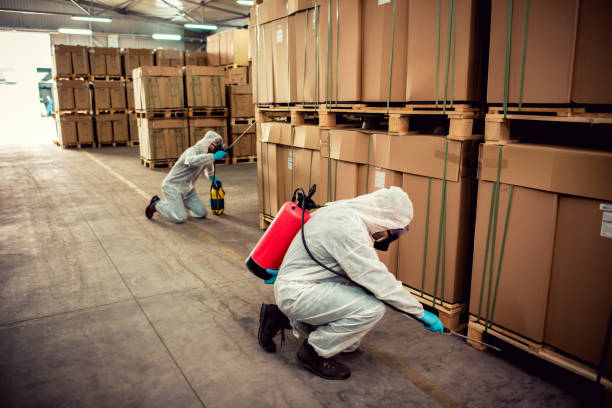 Best Pest Removal Services  in Egan, LA