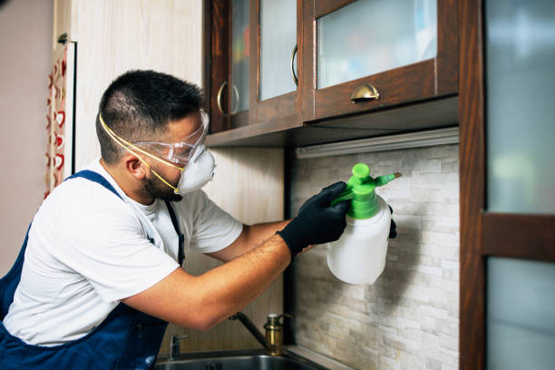 Best Pest Control for Restaurants  in Egan, LA