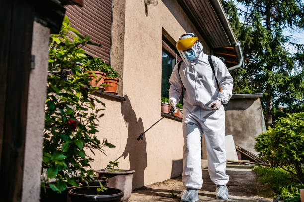 Best Pest Prevention Services  in Egan, LA