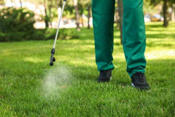 Best Termite Control Services  in Egan, LA