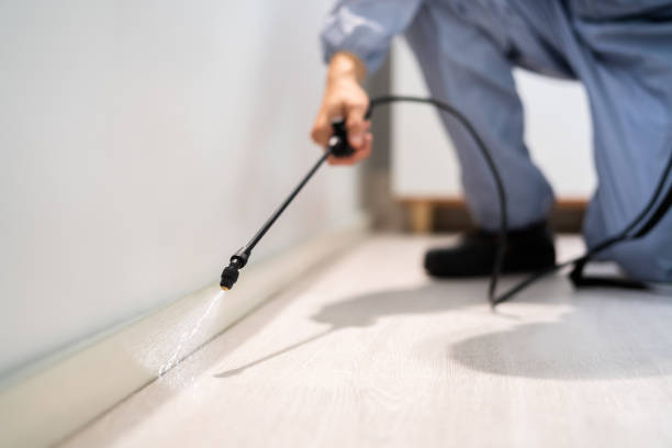 Pest Control Cost in Egan, LA