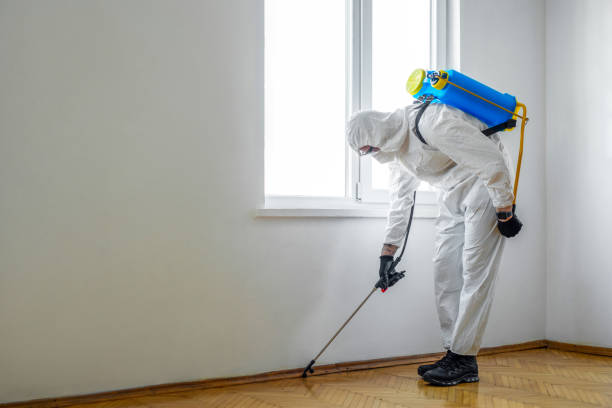 Best Wildlife Control Services  in Egan, LA
