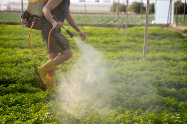 Best Pest Inspection Near Me  in Egan, LA