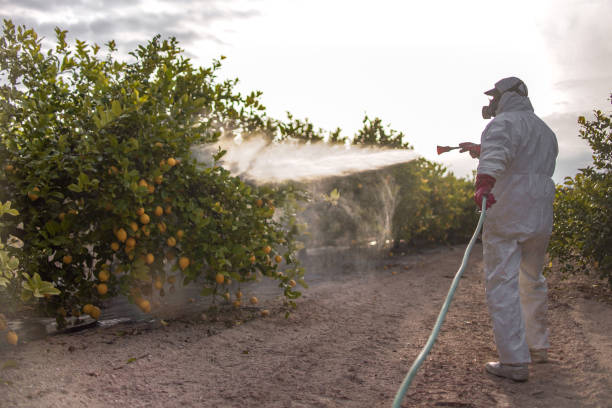 Pest Prevention Services in Egan, LA