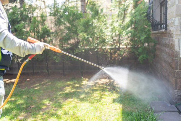 Best Wasp Removal Services  in Egan, LA
