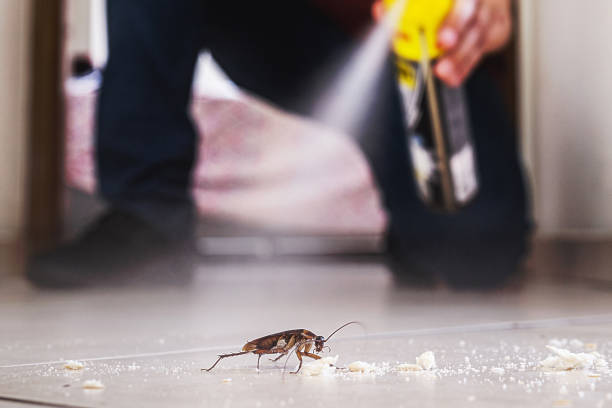Egan, LA Pest Control Company