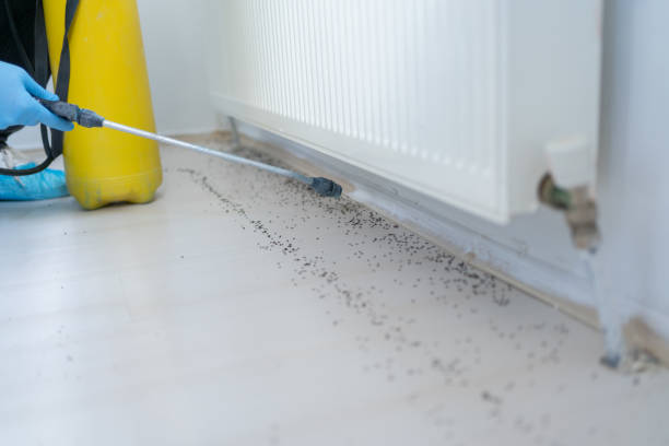 Best Pest Control Near Me in Egan, LA