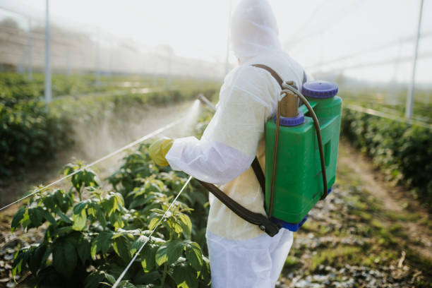 Best Pest Inspection Near Me  in Egan, LA